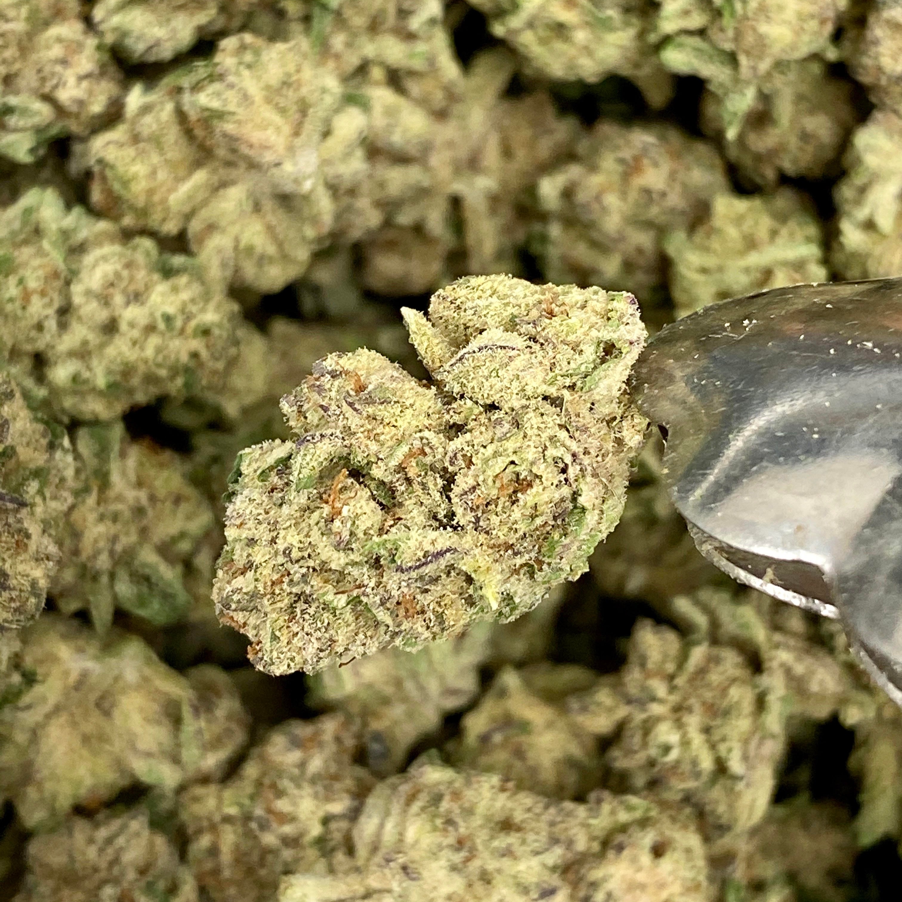 Sol Cultivations, Inc. Purple Punch Tangie Candy Leafly